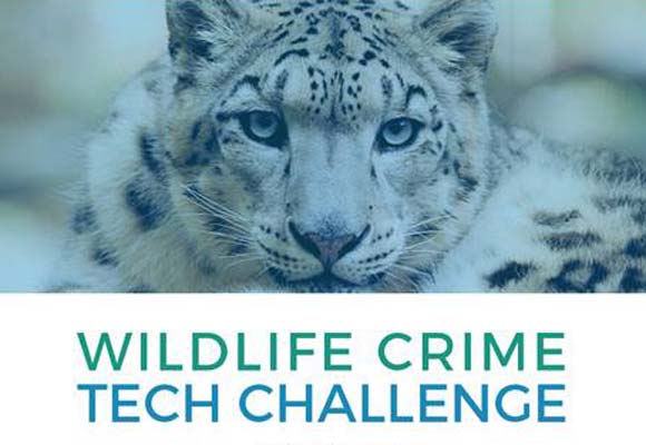 Wildlife Crime Tech Challenge Prize Winner