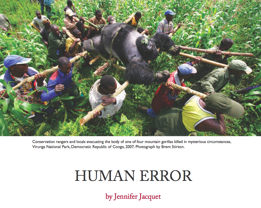 Human Error (Survivor Guilt in the Anthropocene)