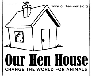 Our Hen House interview